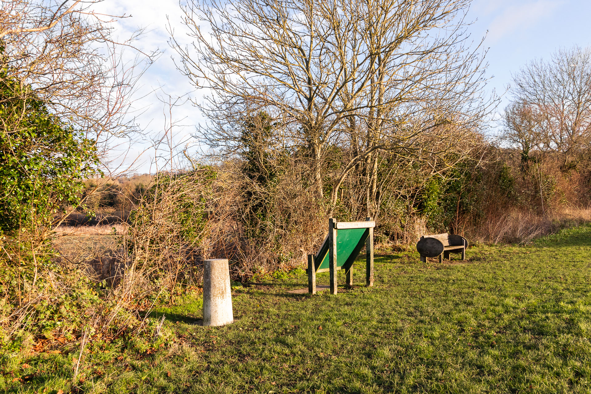 A grey pillar on the left edge of the field, and a green information board next to it. The edge of the field is lined with straggly bushes and trees.