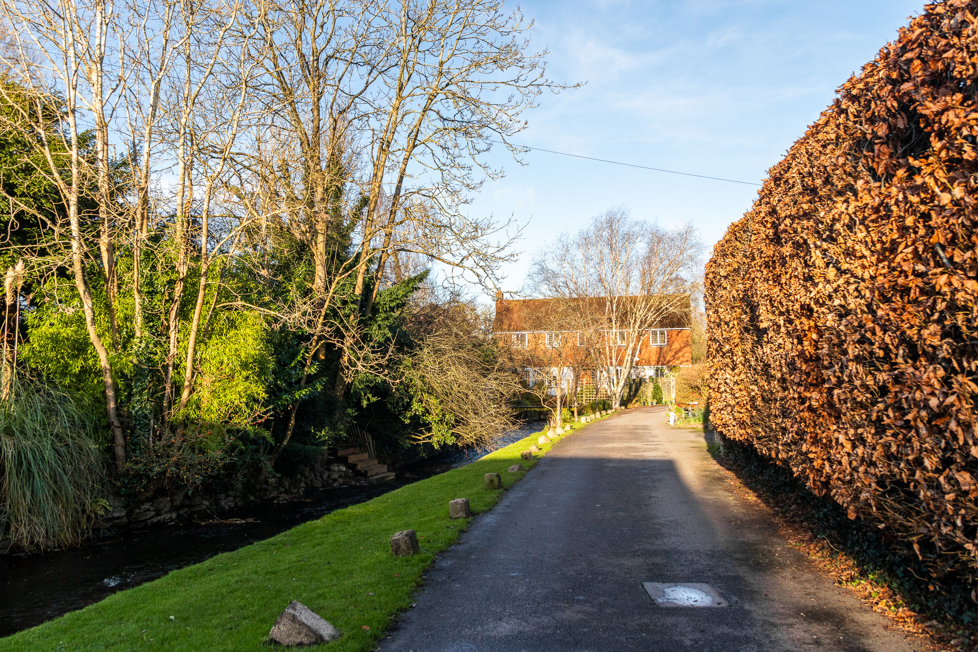 A neat road leading straight ahead, with an orange hedge on the right, and strip of green to the left, with an orange walled house at the end of the road.