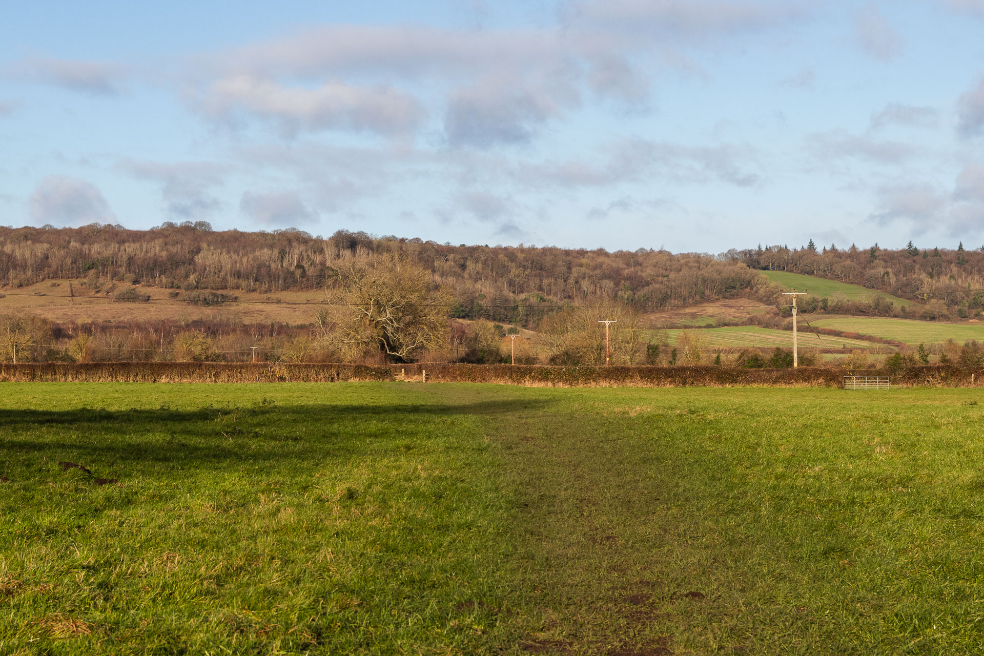 A large grass field with a hill covered in trees ahead, on the Otford Solar System walk.