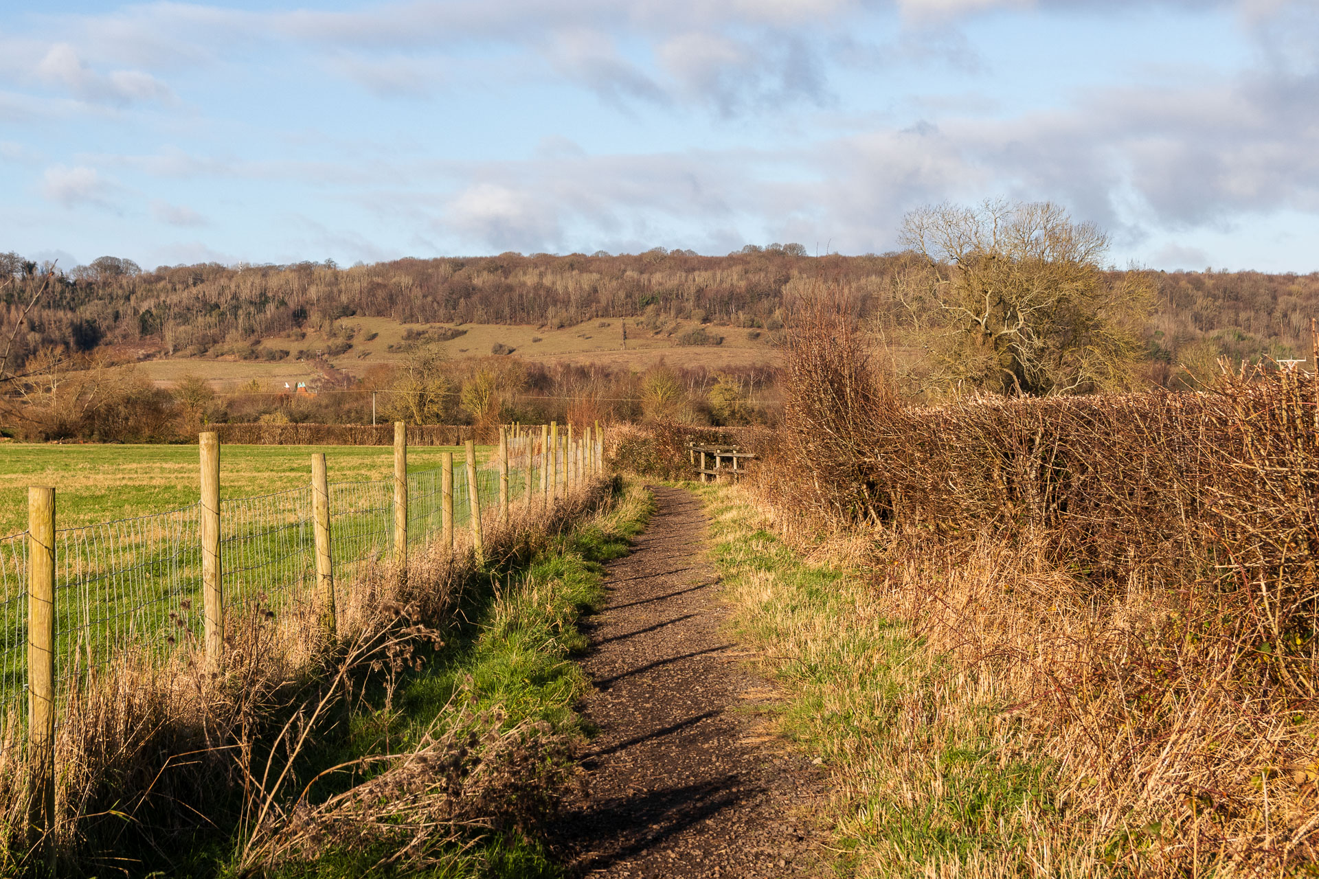 A dirt trail leading straight ahead, lined with leafless hedges on the right, and wire fence and field on the left, on the way to Pluto on the Otford Solar System walk. 