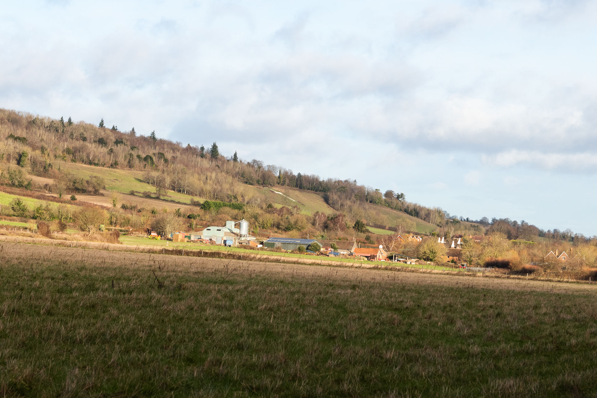 Looking across a grass field towards a hill covered in patches of trees.