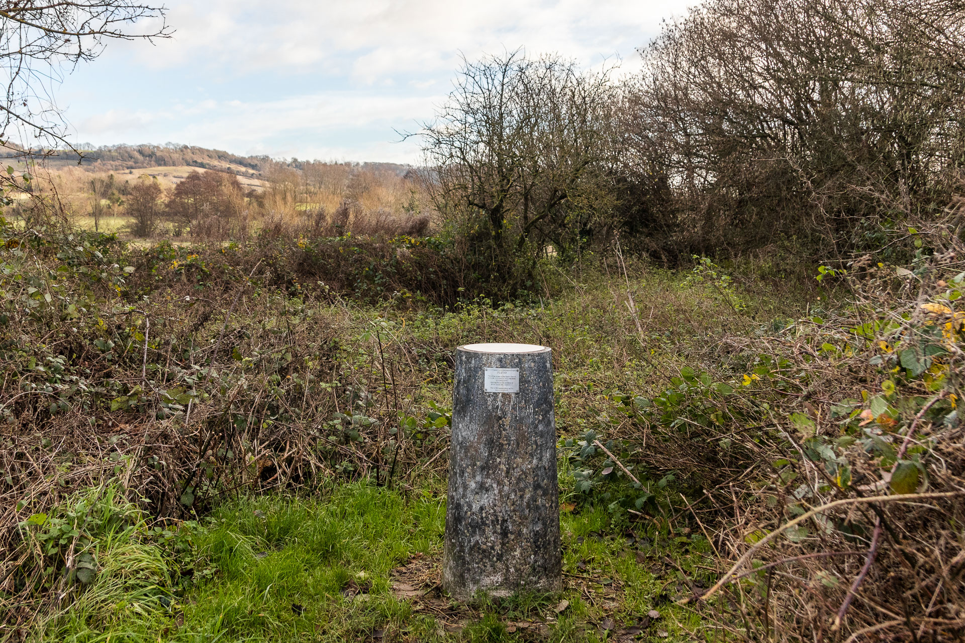 The dark grey pillar of Pluto in an opening surrounded by bushes, marking the end of the Otford Solar System walk.