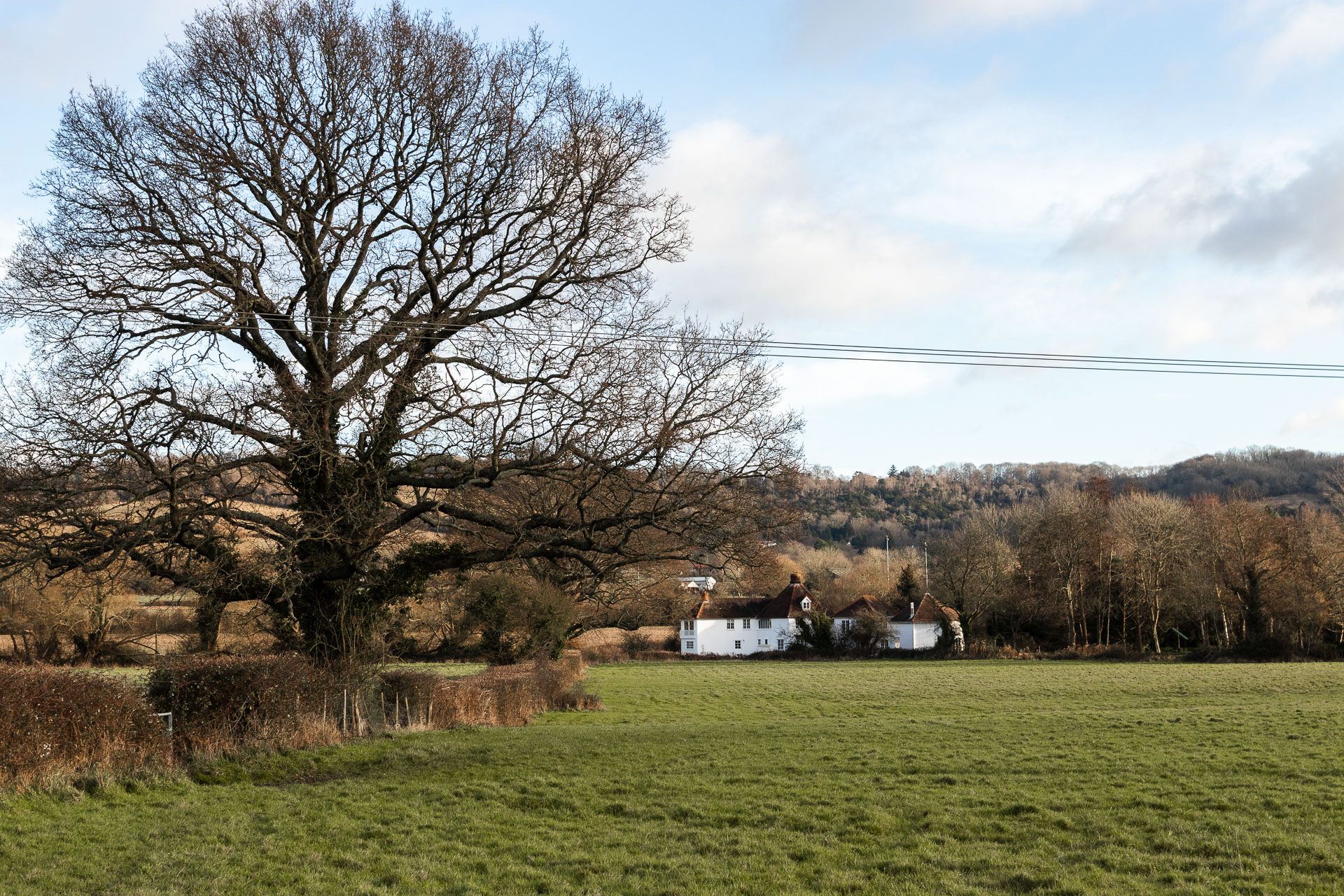 Looking across a green grass field, with a large leafless tree on the left, and white walled cottage on the other side of the field.