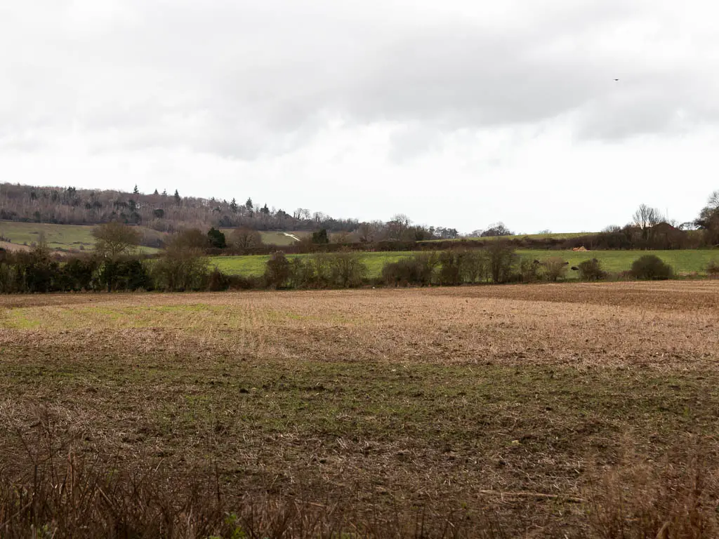 Looking across a large field with more fields surrounded by trees in the distance. 