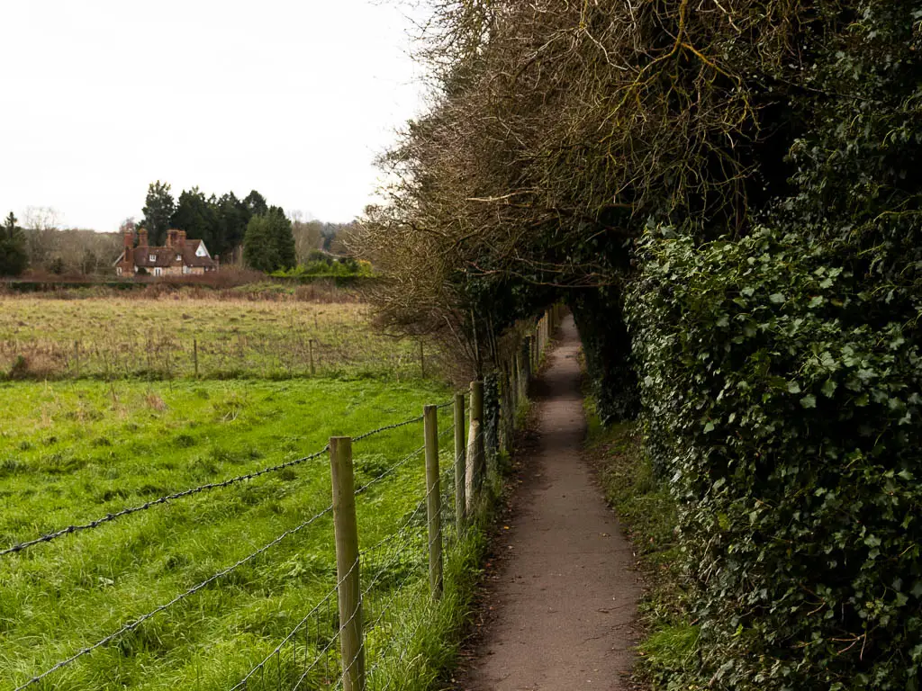 A narrow path leading straight ahead, lined with green leafed hedges on the right and a wire fence and fill to the left. There is a cottage just visible ahead on the left.