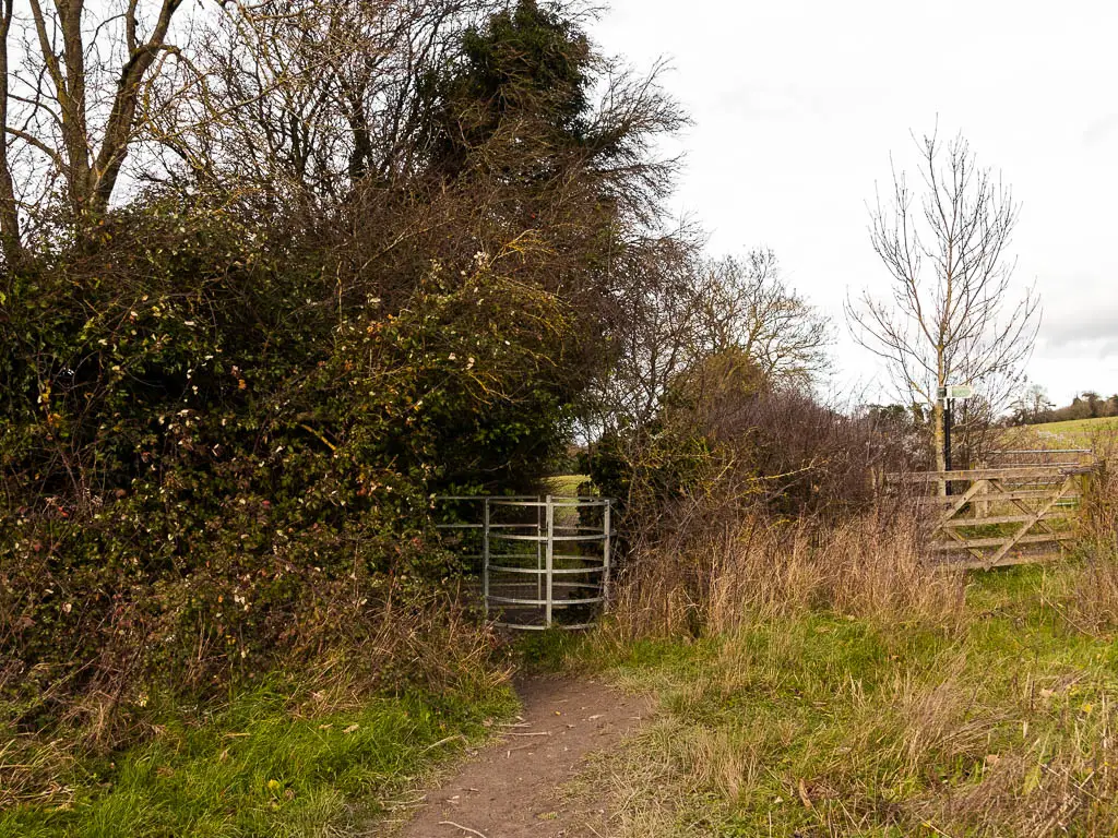 A dirt trail leading to a metal gate partially hidden in the bushes and trees.