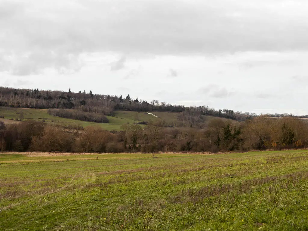 Looking across a large grass field, with a hill in the distance. There are trees lining the bottom on the hill, and along the top.