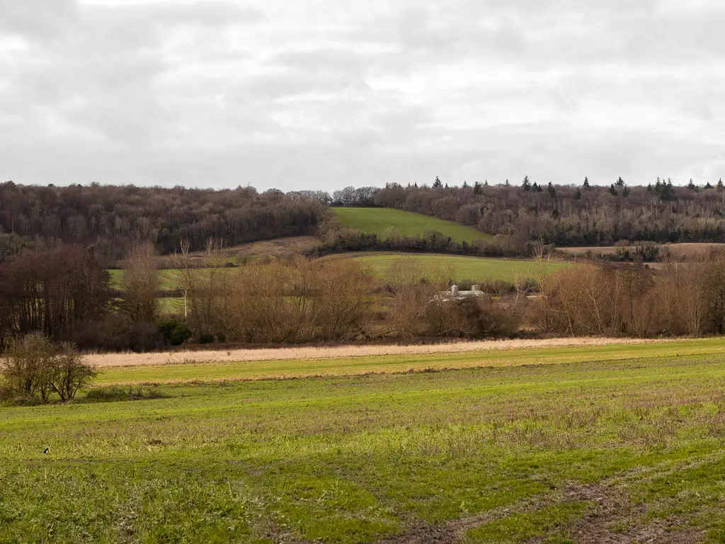 A large green field, with a hill rising up on the other side, on the walk from Otford to Shoreham. The hill has a mass of trees on top. 