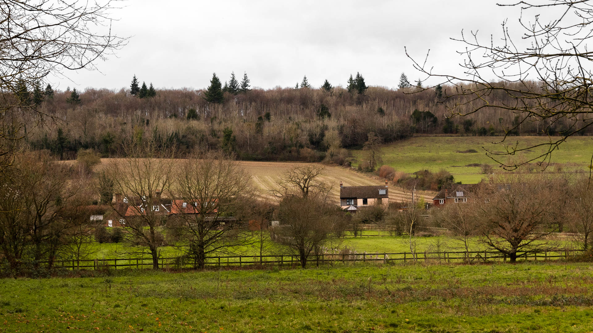 Looking across a green meadow with a hill rising up the other side, partway through the walk from Otford to Shoreham. There are cottages at the bottom of the hill, and trees covering the top of the hill. Across the meadow it is split with a fence and a few leafless tree.