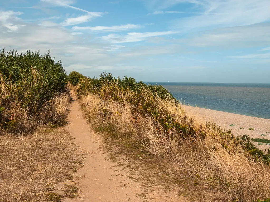 A strip of sand trail, leading towards some bushes, with the sandy beach and blue sea below to the right.