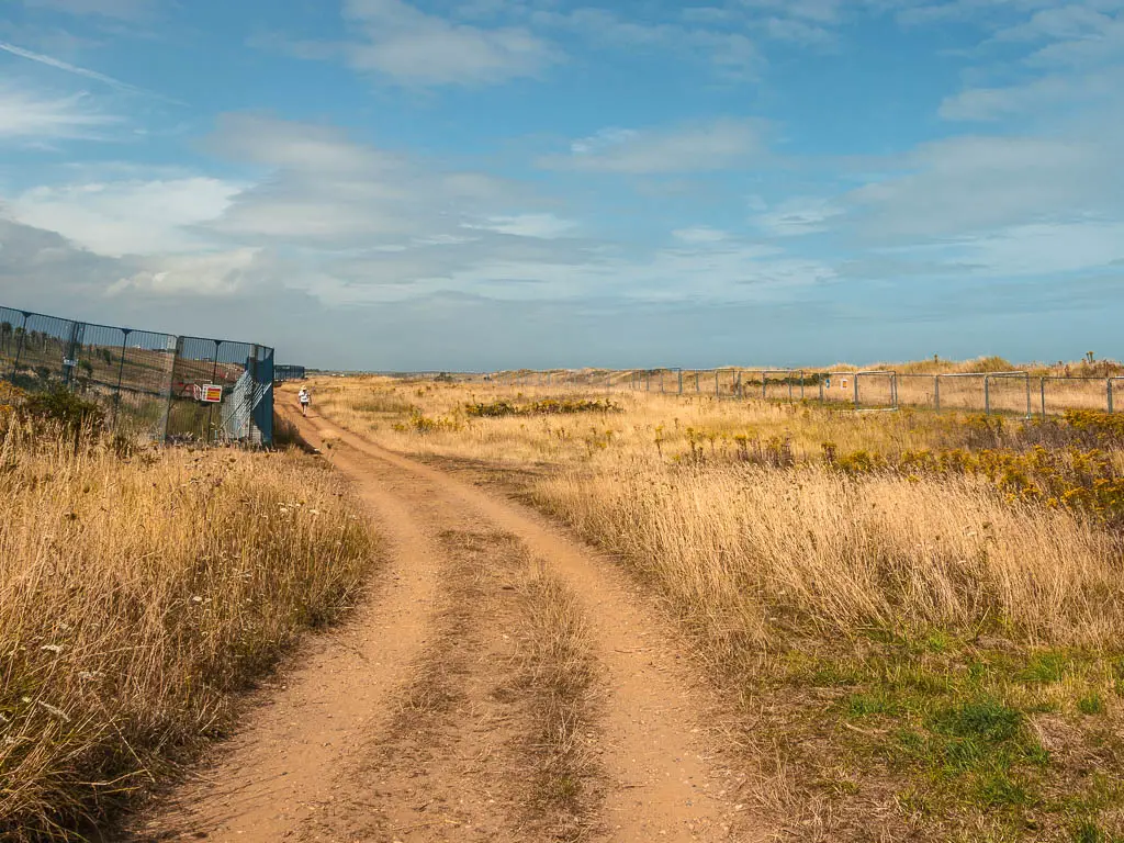 A wide dirt road snaking ahead, surrounded by tall yellow grass.