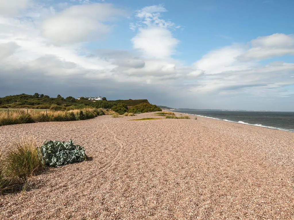 A wide shingle beach leading ahead, with green bush covered hills ahead to the left, and blue sea to the right.