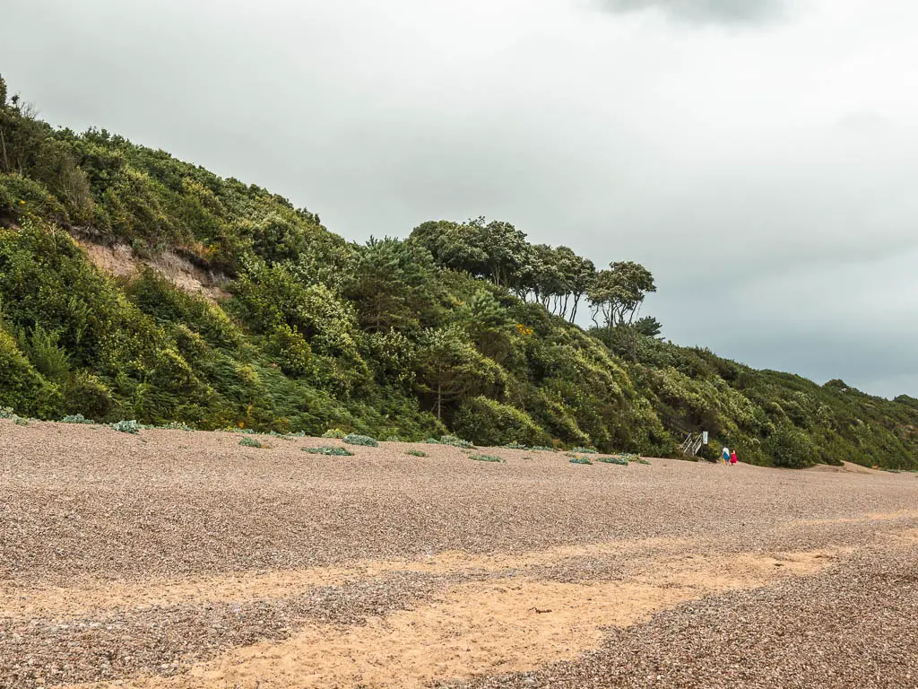 A green bush covered cliff, running alongside a shingle beach, on the walk from Snape to Dunwich.