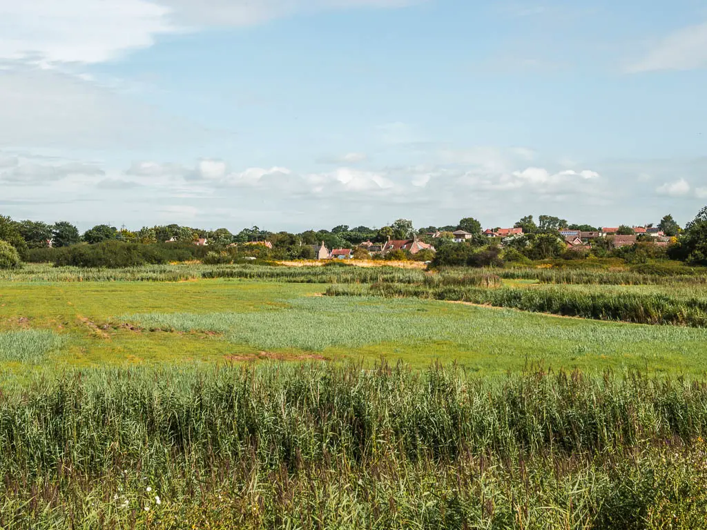 Green meadows, with a village on the other side, when walking out of Snape.