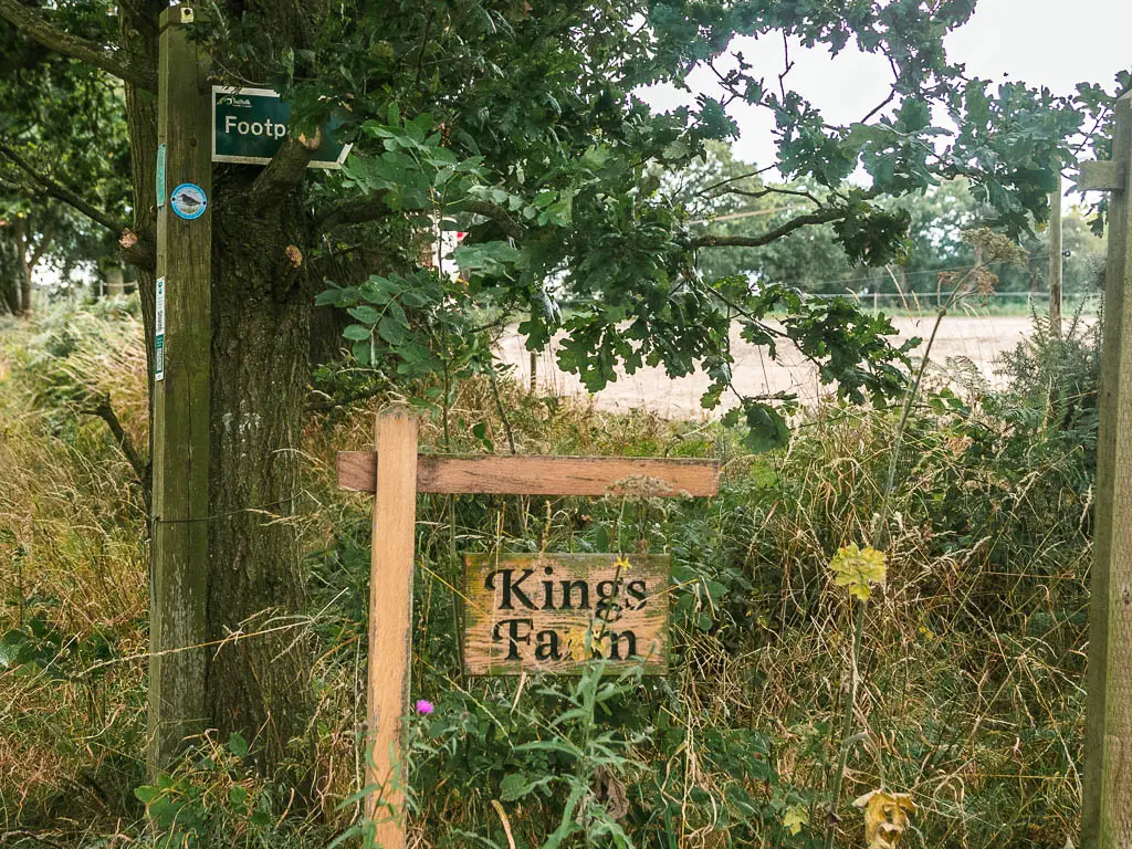 A wooden sign saying 'Kings farm', sitting in front of green bushes. The sign points to the right.