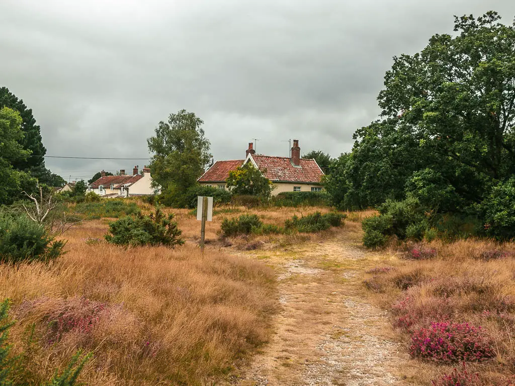 A death leading ahead through the meadow, with patches of pink and green bushes. There are the tops of some house visible ahead. 