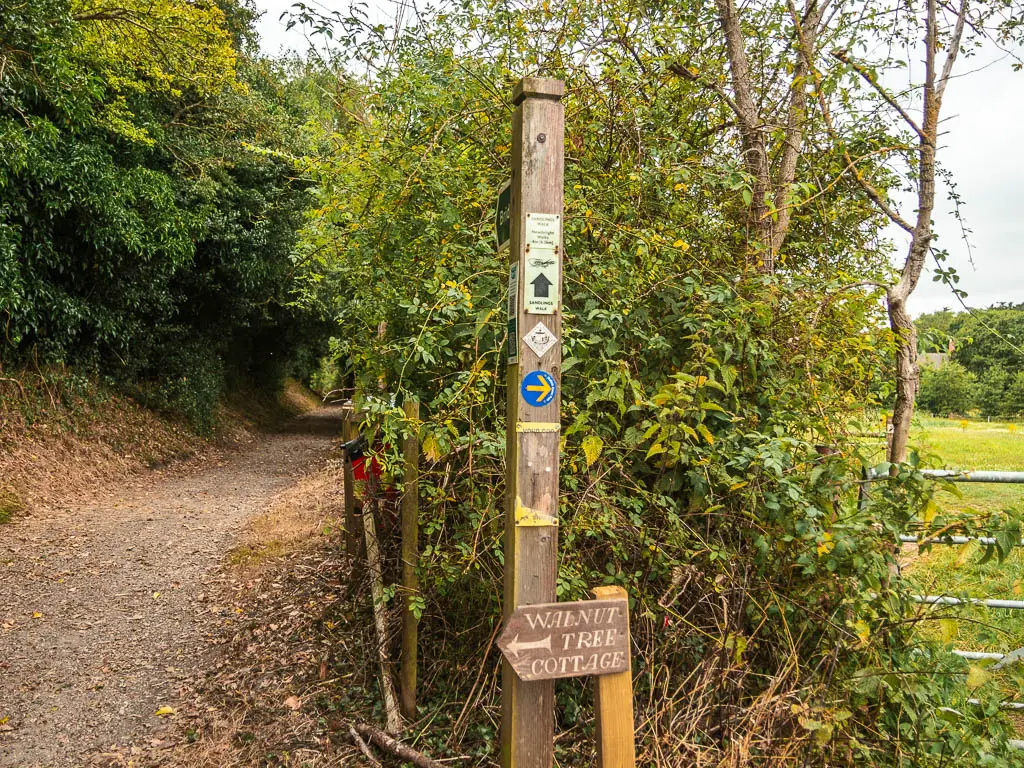 A wooden trail sign in front of a bush, with a trail to the left.