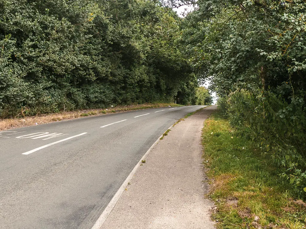 A road leading ahead and curving to the bright, lined with masses of green leafy trees and bushes.