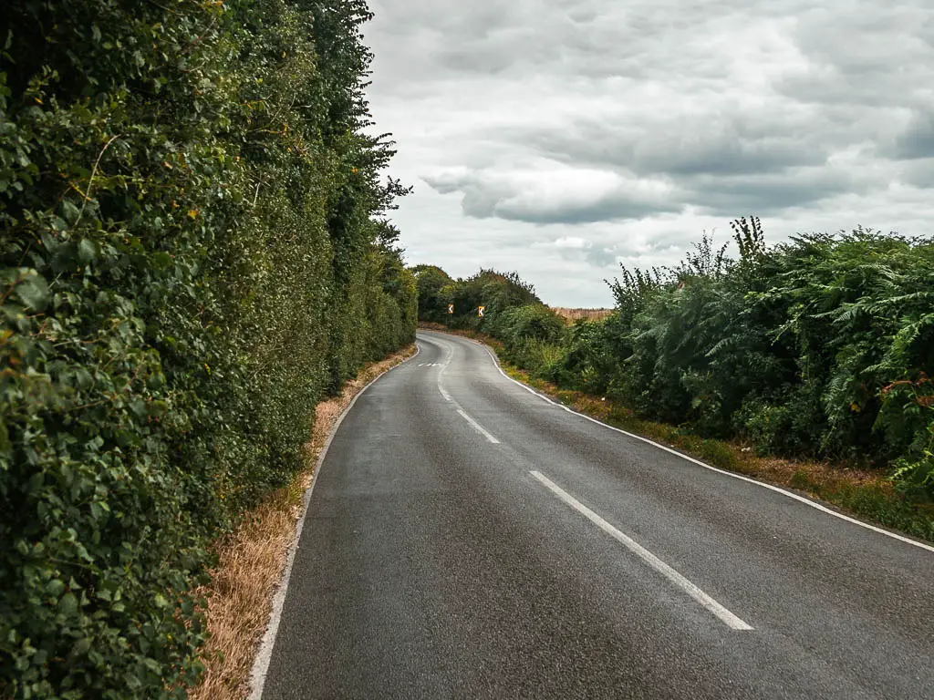 A road snaking ahead, lined with green leafed bushes and trees.