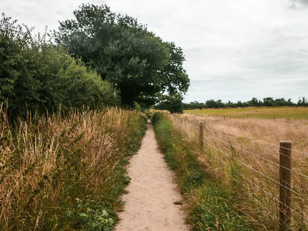 A narrow trail with bushes and trees on the left, and a wire fence and meadow to the right.