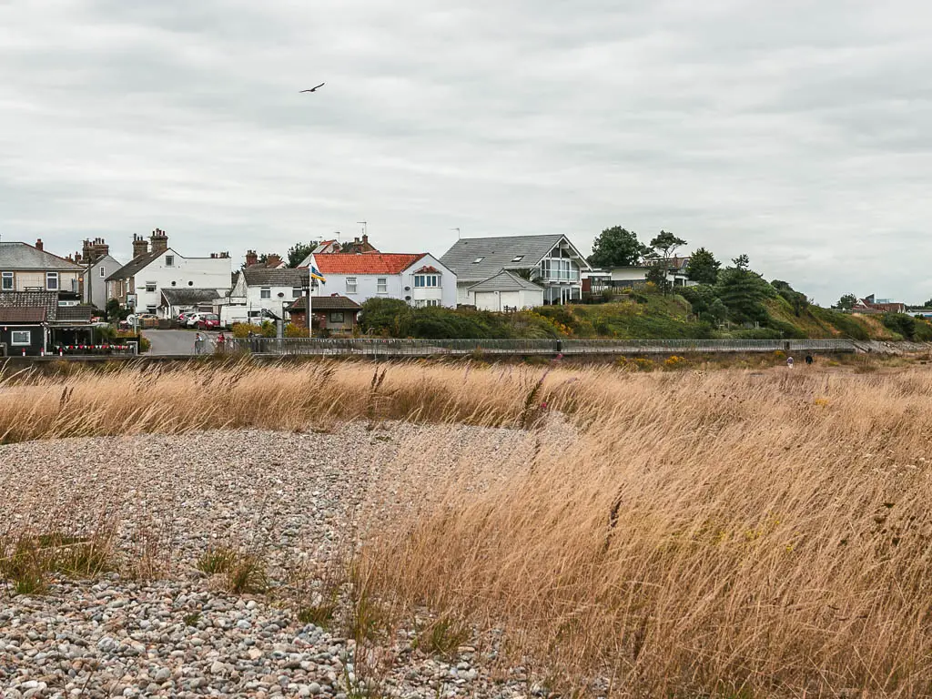 Looking across the shingle and grass beach, to a cluster of houses on the other side.