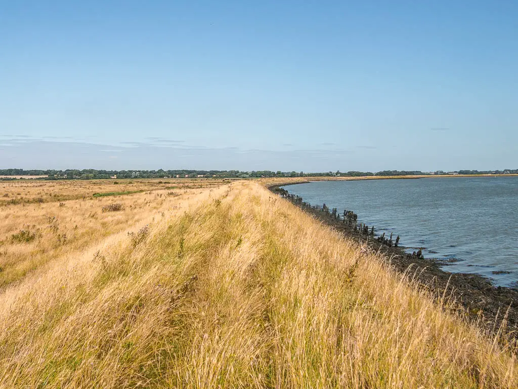 A grass ridge leading straight ahead, with the water to the right. 