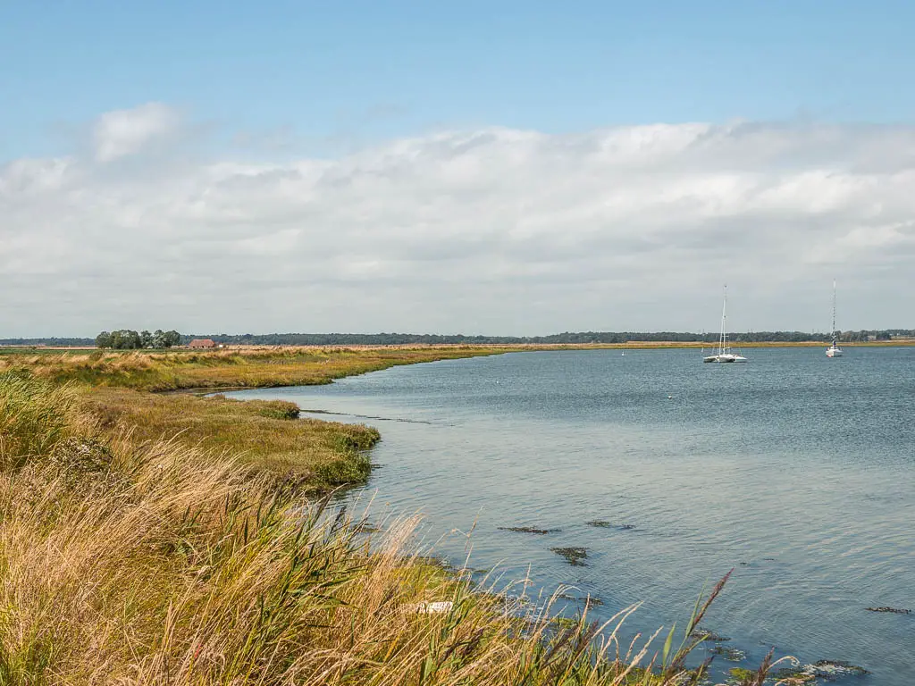 The river on the right and grassy bank on the left, partway through the walk from Orford to Snape.