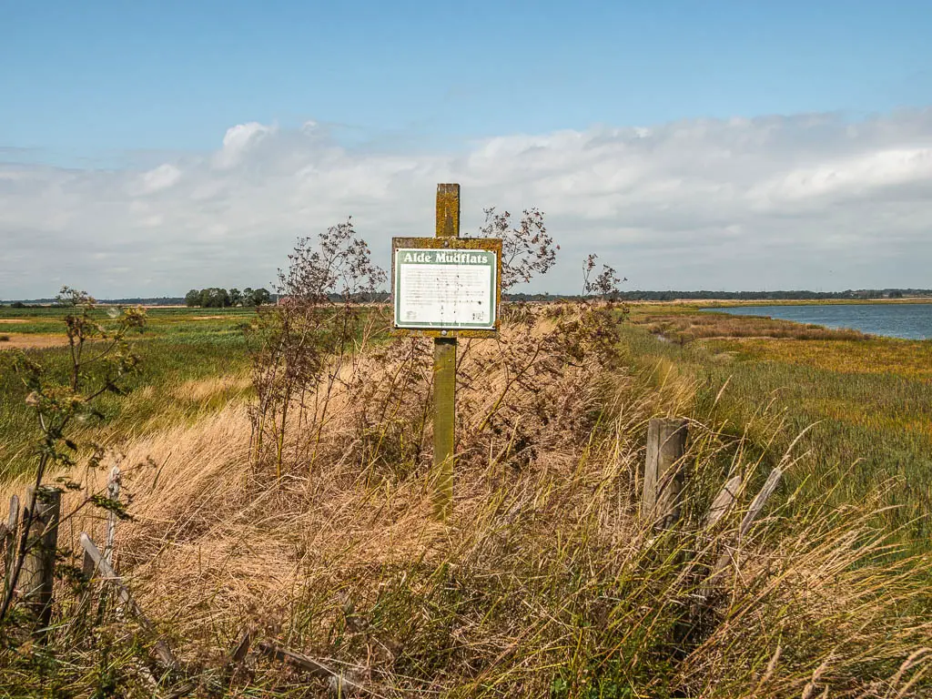 A sign in the middle of the overgrown trail.