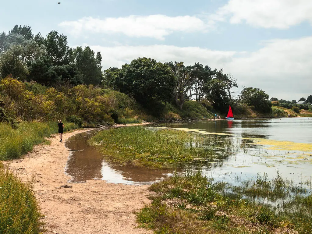 A sank bank on the left with the river on the right. There is a bushy bank leading up the left side o0f the sand.