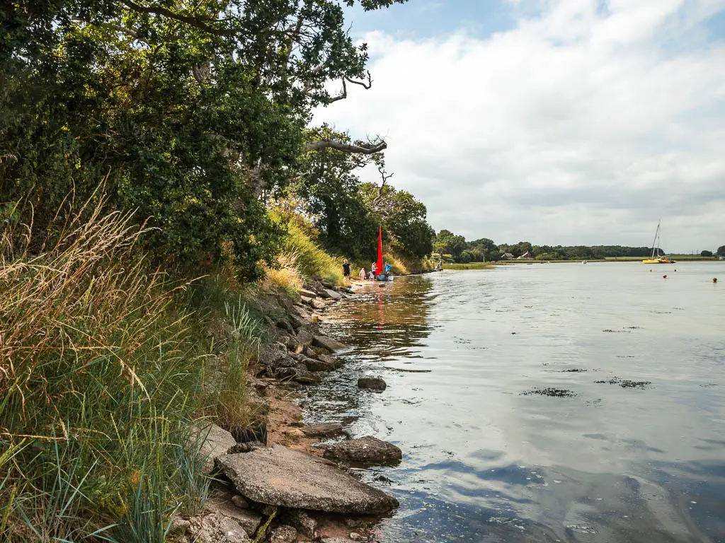 A grass and bush bank on the left meeting the river on the right, with planks of stone between the two.