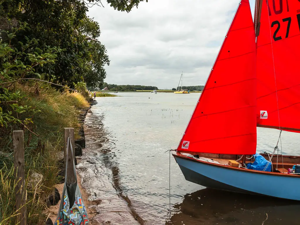 A blue boat with red sail on the shoreline.