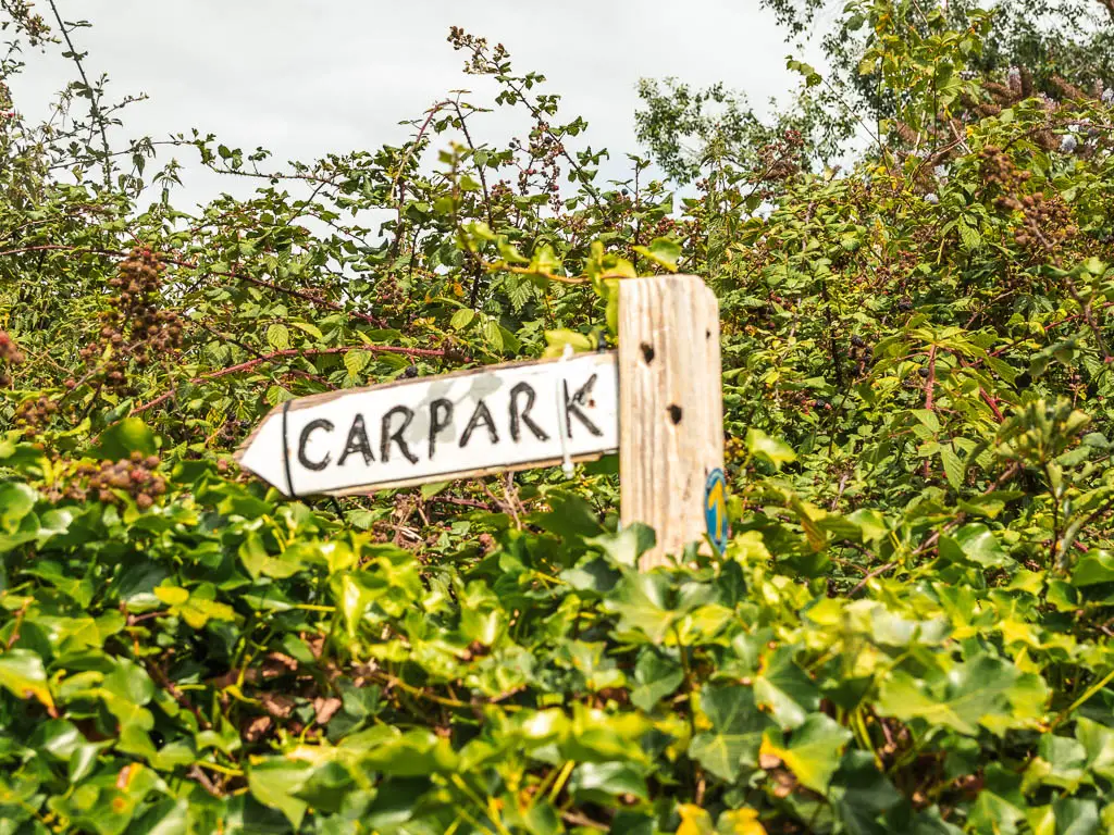 A wooden sign saying 'car park' nestled in the bushes.