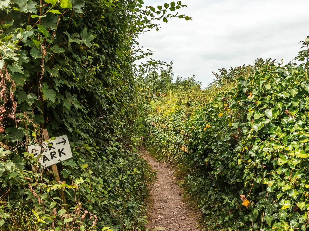 A narrow dirt trail leading through the muddle of bushes, with a wooden car park sign on the left.