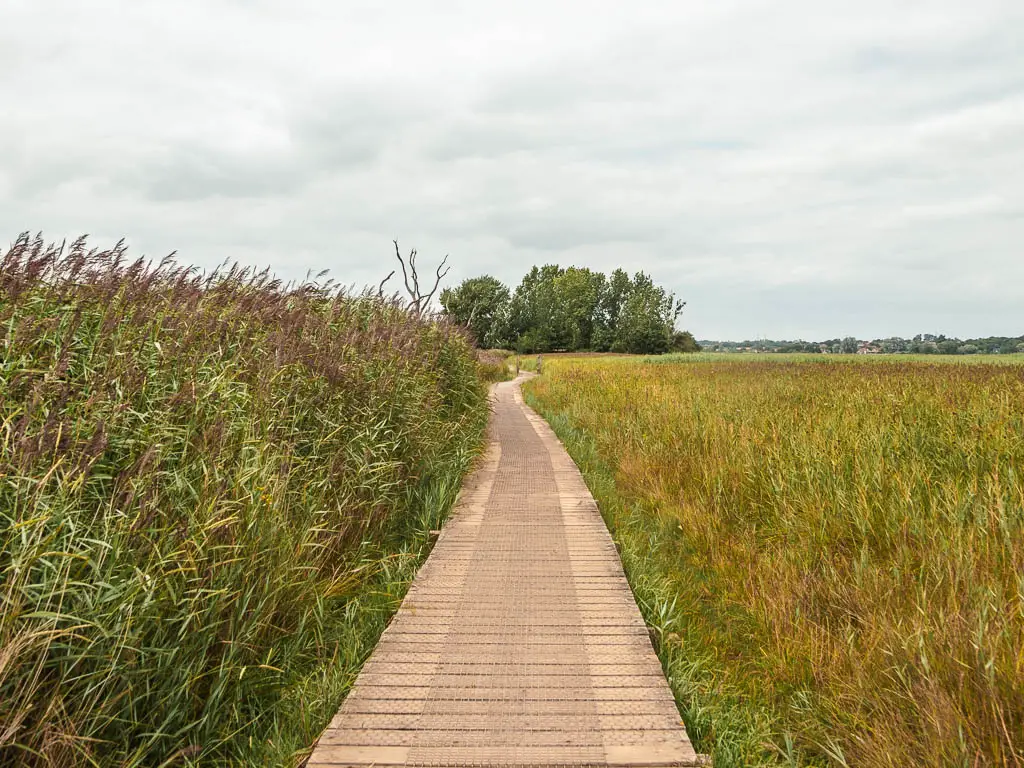 A wooden walkway running between two crop fields, on the walk from Orford to Snape.